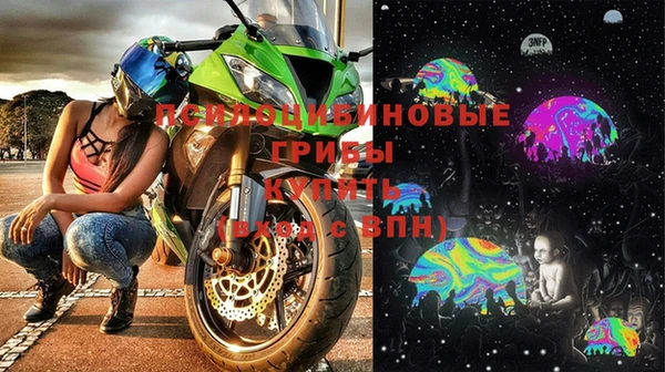 дмт Киреевск