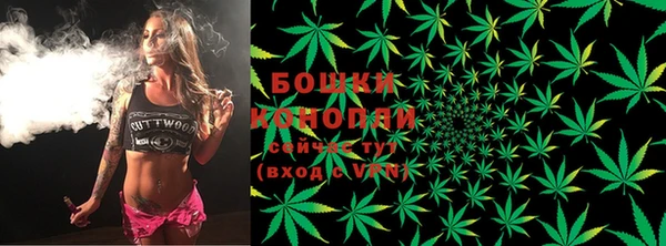дмт Киреевск