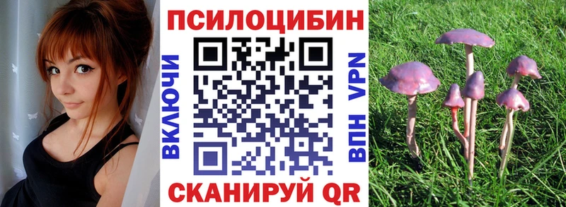 Галлюциногенные грибы Cubensis  Купить где  Кяхта 
